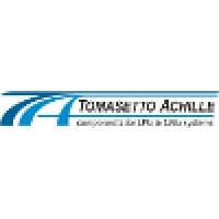 Tomasetto Achille Spa logo - Similar company to Digitronics