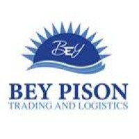 Bey Pison Trading and Logistics Plc logo - Similar company to Awash Cargo