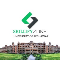 Skillify Zone UoP-Chapter logo - Similar company to Skillifyzone