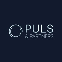 Puls & Partners Healthtech Advisory logo - Similar company to Kenkou
