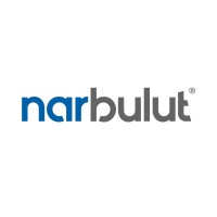 Narbulut logo - Similar company to Theatech