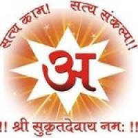 North America Institute Of Vihangam Yoga Inc logo - Similar company to Mala Yoga