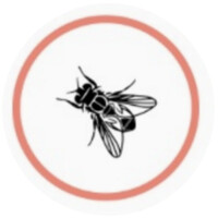 UNA MOSCA EN MI SOPA logo - Similar company to Uttopy