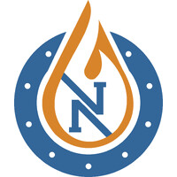 Nutech Overseas logo - Similar company to Inteltech Insights Pvt Ltd