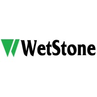 Wetstone Labs logo - Similar company to Cyber Security & Digital Forensics