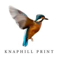 KNAPHILL PRINT COMPANY LIMITED logo - Similar company to Optichrome