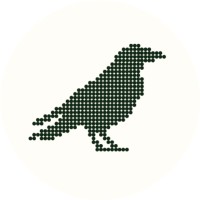 Raven Outcomes logo - Similar company to Misfit Ventures