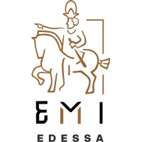 Edessa Tech logo - Similar company to Global Data Tech Llc