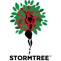 Stormtree Consulting logo - Similar company to Kim Arnold