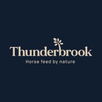 Thunderbrook logo - Similar company to Tharos Ltd