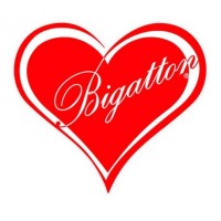 BIGATTON PRODUZIONE logo - Similar company to Unigel Spa