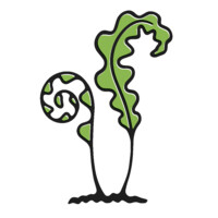 Two Ferns Native Nursery LLC logo - Similar company to Mt. Airy Learning Tree