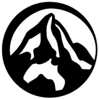 Napse logo - Similar company to C-Napse