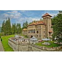 Cantacuzino Castle logo - Similar company to Thinknexuz