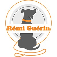 Rémi Guérin éducateur canin à Bordeaux logo - Similar company to Truffinade 😉🐶