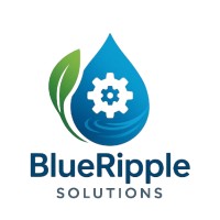 BlueRipple Solutions logo - Similar company to Datumxp