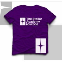 Stellar Academy logo - Similar company to Tutor Master