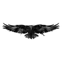 Tree and Crow, LLC logo - Similar company to Phomo