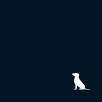 Black Dog Crisis Management logo - Similar company to Lumesse Learning