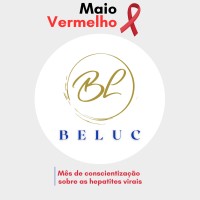 Beluc Consultoria logo - Similar company to I9Vmconsult