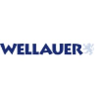 Wellauer AG logo - Similar company to Andersch - Büro Für Marketing Und Design