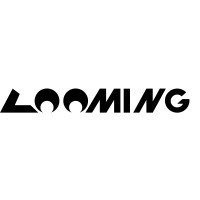LOOMING logo - Similar company to Rail Exchange Inc
