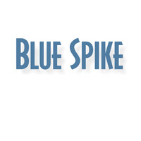 Blue Spike, Inc. logo - Similar company to Wistaria Trading Inc