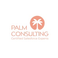 PALM CONSULTING logo - Similar company to Pyrope Technology Solutions