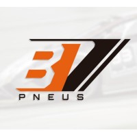 BV Pneus logo - Similar company to Hamada Pneus