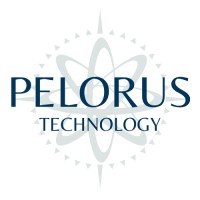 Pelorus Technology logo - Similar company to Bmk And Associates, Llc