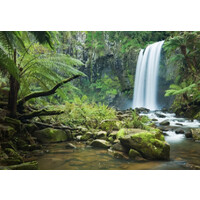 Shifa Cleanse Wellness Spa logo - Similar company to Mastering Wellness Spa