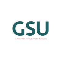 GSU Law logo - Similar company to Lexnavi