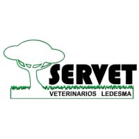 SERVET LEDESMA SLP logo - Similar company to Rain Forest Diseño Sl