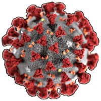 MedStar Labs logo - Similar company to Charliclips