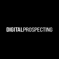 DigitalProspecting.io logo - Similar company to Realer Digital