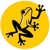 YellowFrog logo - Similar company to Yellow Frog Automation