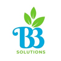 B3 Solutions logo - Similar company to B3 Solutions