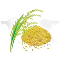 ntagrofoodproducts logo - Similar company to Vegonfood