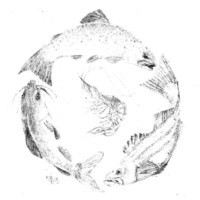 AquaMatrix International, Inc. logo - Similar company to Sea Scient Group