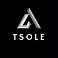 TSOLE logo - Similar company to Movenetics Digital