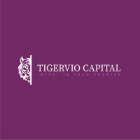 Tigervio Capital logo - Similar company to Epic Monetary System