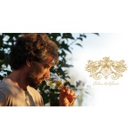 Chateau Montplaisir Bergerac logo - Similar company to Bergerac Tp