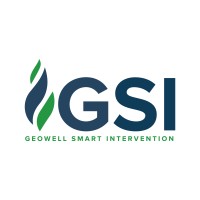 Geowell Smart Intervention (GSI) logo - Similar company to Zerlux Hungary