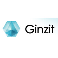 GinzIT logo - Similar company to Bidence Corp.