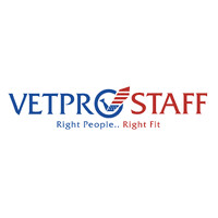 VetPro Staff logo - Similar company to Vbgyr It Solutions