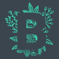 Brutal | Digital solutions logo - Similar company to Valio