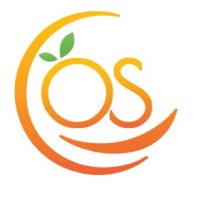 OrangeSkill Technologies Pvt Ltd logo - Similar company to Dataman Computer Systems (P) Ltd.