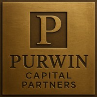 Purwin Capital Partners logo - Similar company to Dshungle