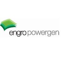Engro Powergen Qadirpur Limited logo - Similar company to Foundation Power Company Daharki Limited