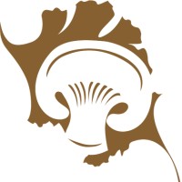 Aromas e Boletos logo - Similar company to Cogus